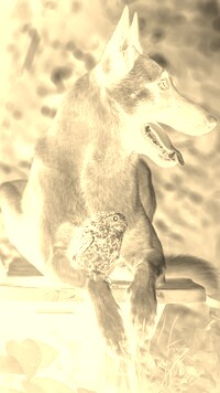 Sepia + Negatyw