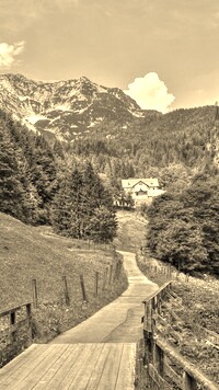 Szary + Sepia