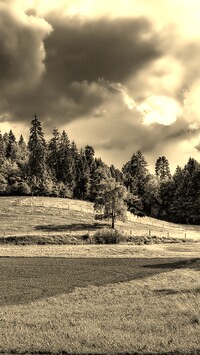 Szary + Sepia