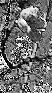 Skamielina