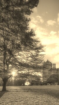 Szary + Sepia