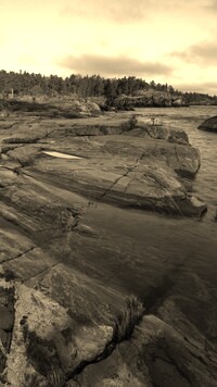 Szary + Sepia