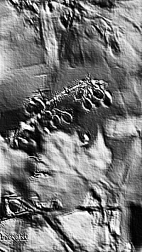 Skamielina