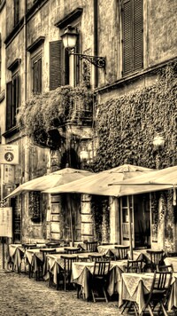 Szary + Sepia