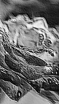 Skamielina