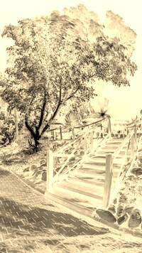 Sepia + Negatyw