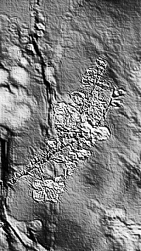 Skamielina