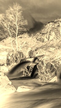Sepia + Negatyw