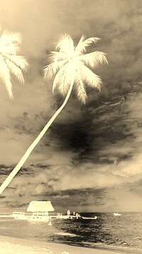 Sepia + Negatyw