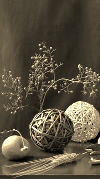 Szary + Sepia