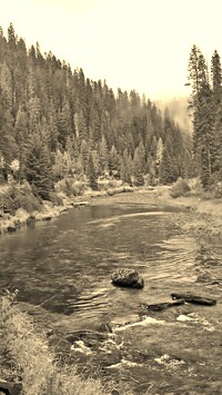 Sepia