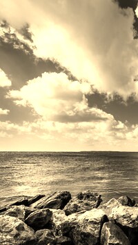Szary + Sepia