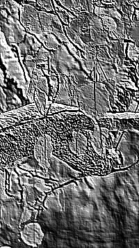 Skamielina