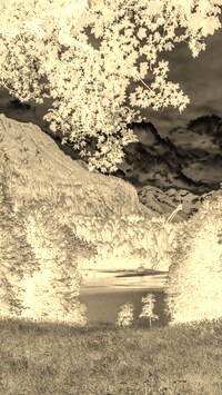 Sepia + Negatyw