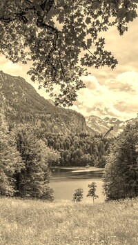 Sepia