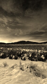 Szary + Sepia