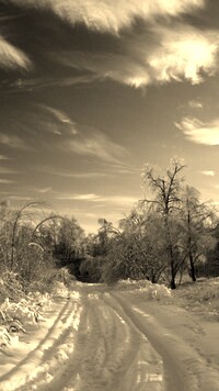 Szary + Sepia