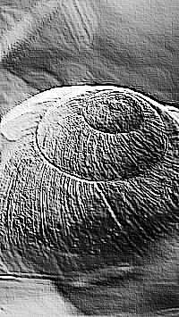 Skamielina