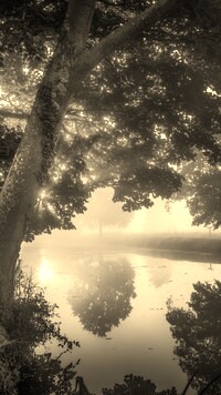 Szary + Sepia