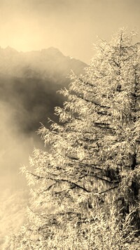 Szary + Sepia
