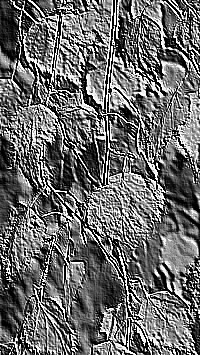 Skamielina