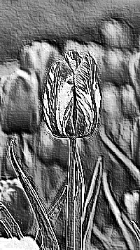 Skamielina