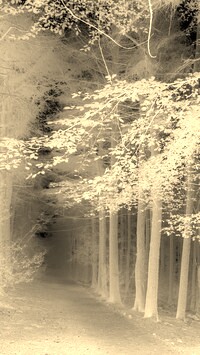 Sepia + Negatyw