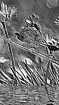 Skamielina