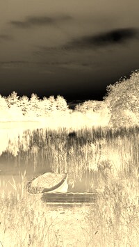 Sepia + Negatyw