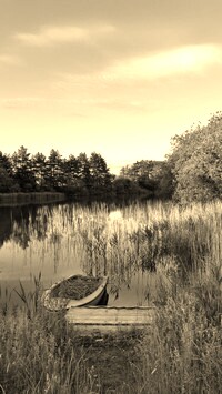 Szary + Sepia