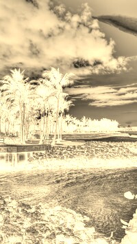 Sepia + Negatyw