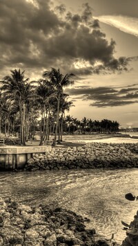 Szary + Sepia