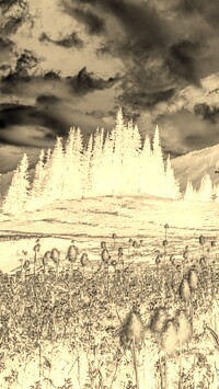 Sepia + Negatyw