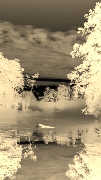 Sepia + Negatyw