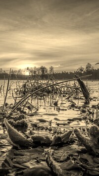 Szary + Sepia