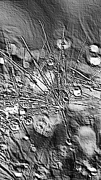 Skamielina