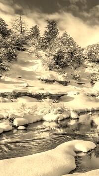 Szary + Sepia