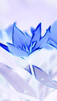 Negatyw