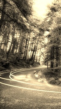 Szary + Sepia