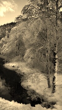Szary + Sepia