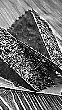 Skamielina