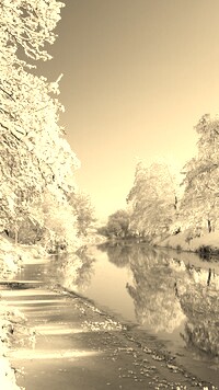 Szary + Sepia