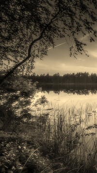 Szary + Sepia