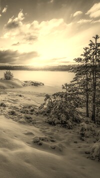 Szary + Sepia