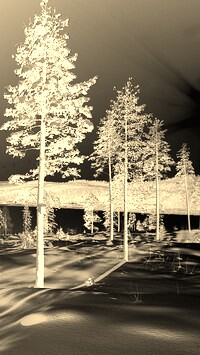 Sepia + Negatyw