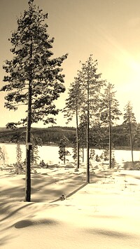 Szary + Sepia
