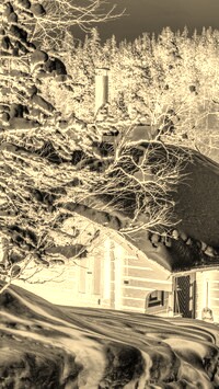 Sepia + Negatyw