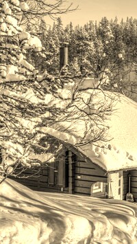 Szary + Sepia