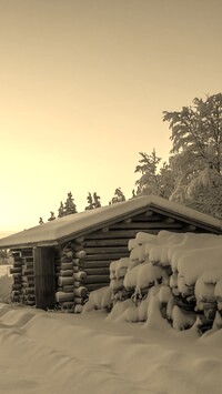 Szary + Sepia