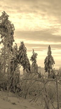 Szary + Sepia